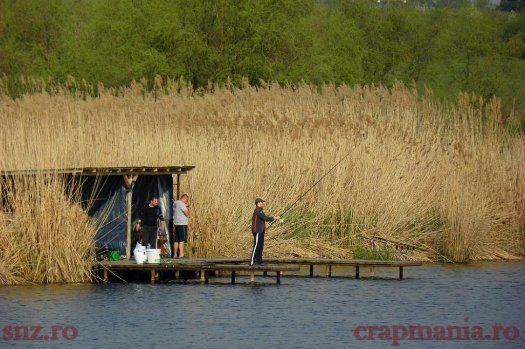 Trofeul tancabesti 2013 - 1011942.jpg